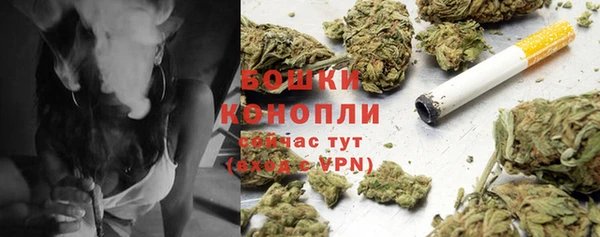 ГАЛЛЮЦИНОГЕННЫЕ ГРИБЫ Верхний Тагил