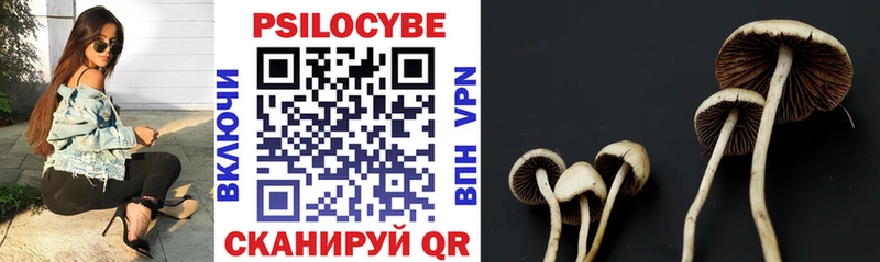 Псилоцибиновые грибы Psilocybine cubensis  купить закладку  Рузаевка 